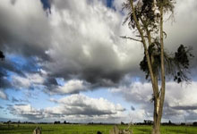 关于希洪竞技关键时刻取胜，成功挺进联赛前四的信息